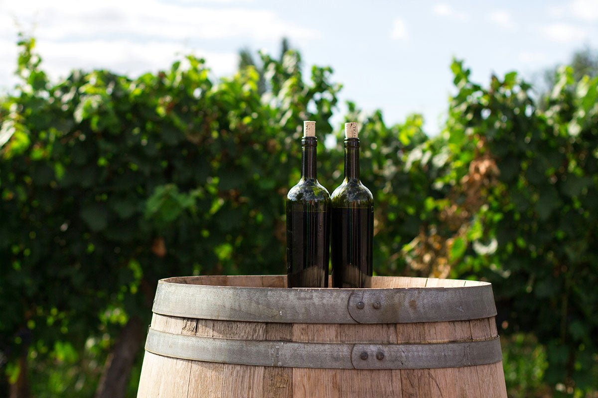 Vino de pitarra tradición en Cañamero