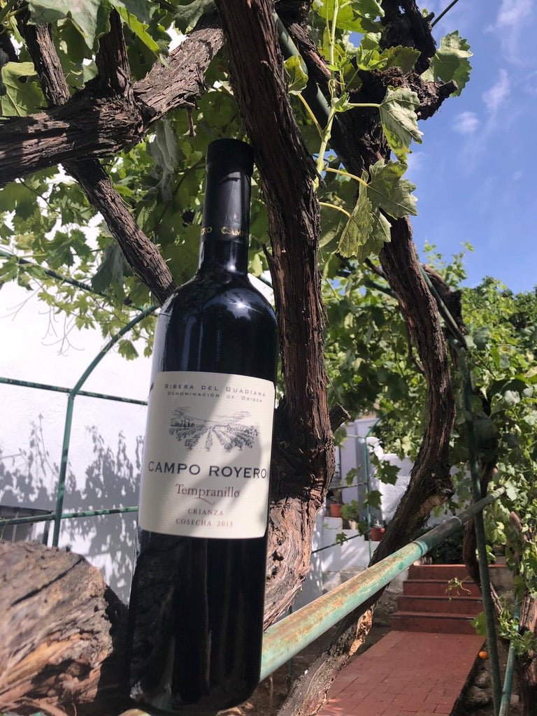 beneficios vino tinto y propiedades para la salud
