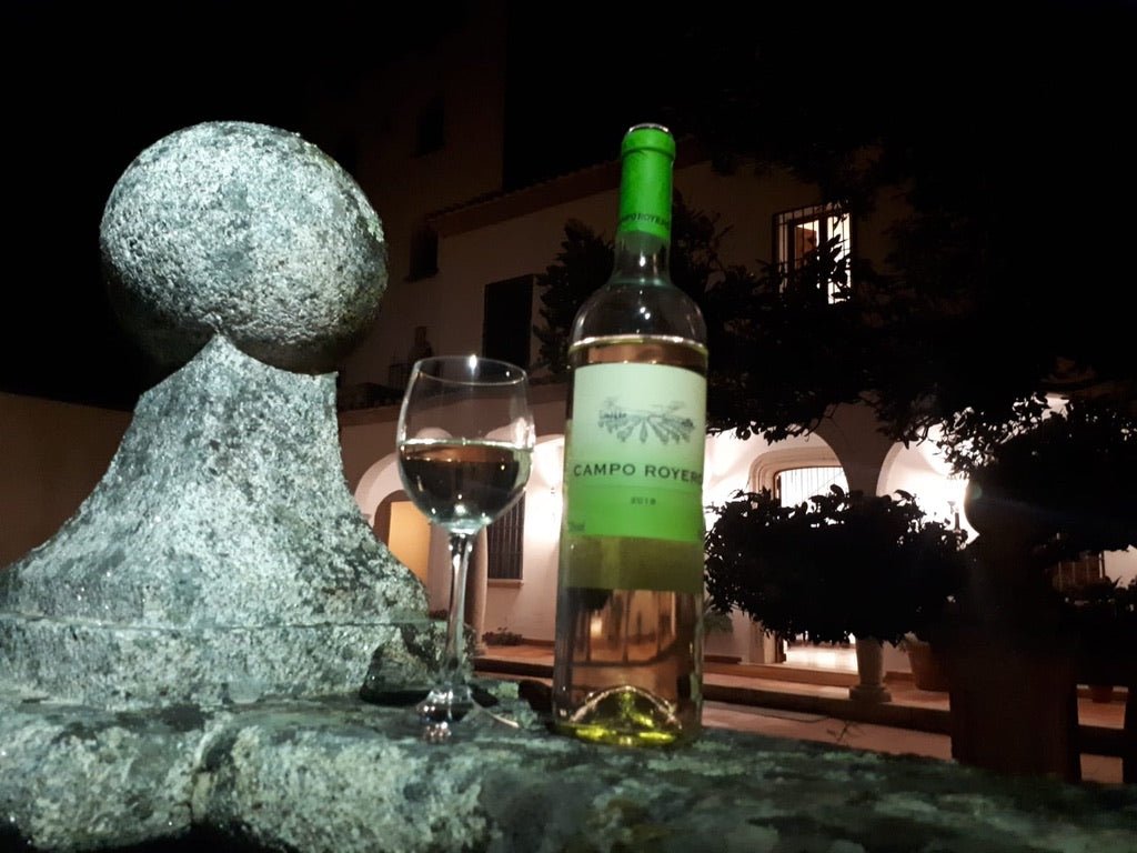 Las levaduras del Vino, todo lo que debes saber