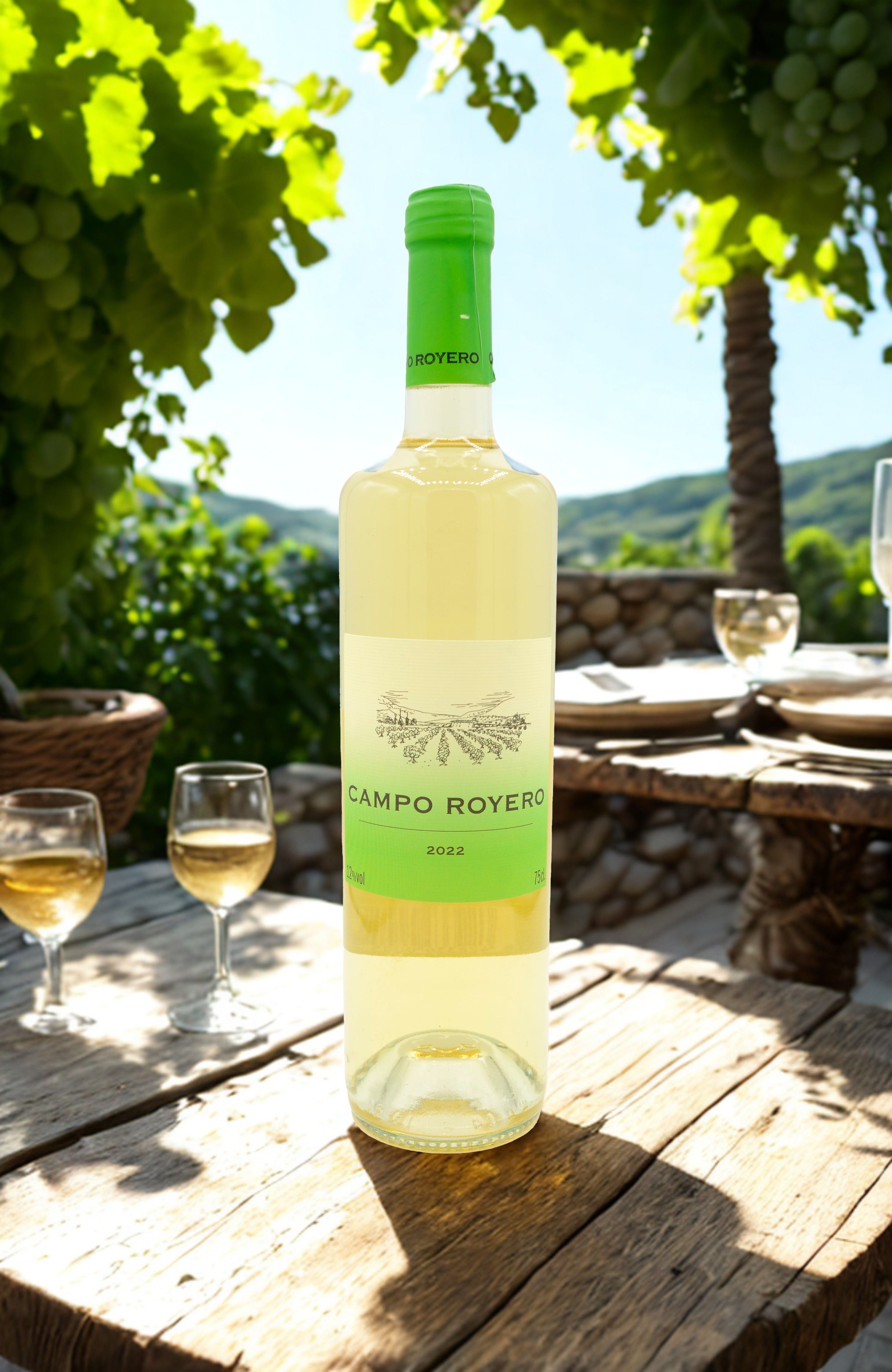 Vino verdejo: cómo elegir uno bueno (guía fácil)