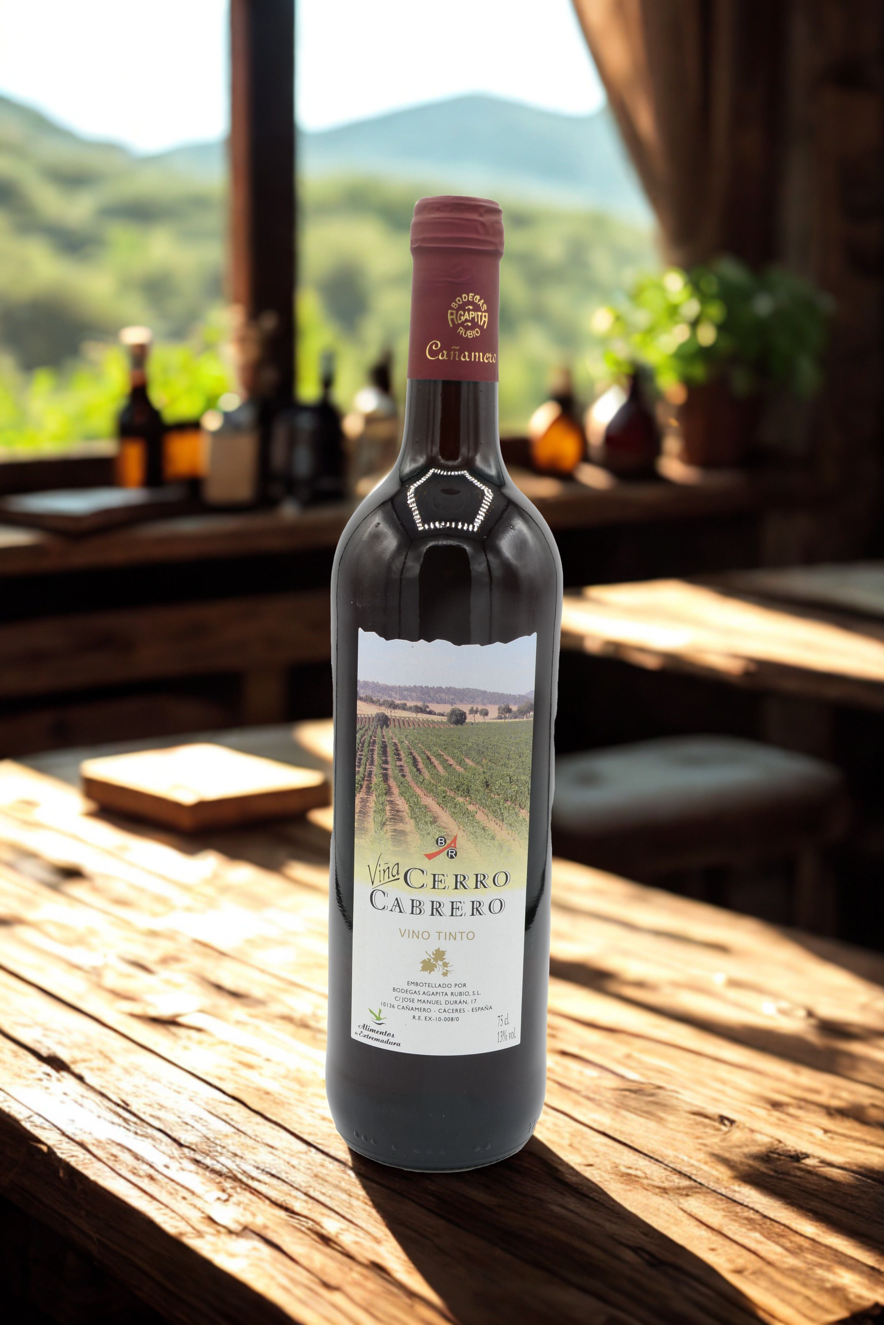 Vinos que gustan a todo el mundo | Cómo acertar al elegir
